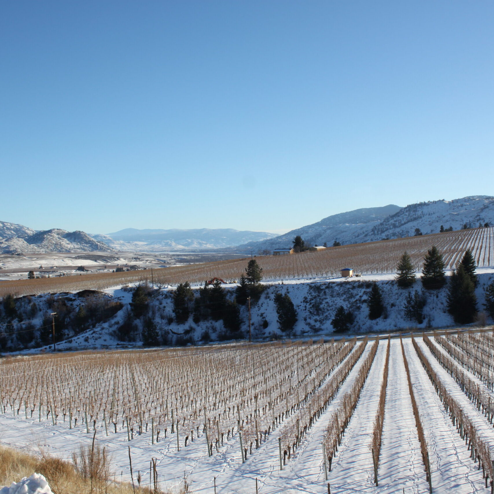 OOWA winter_credit Oliver Osoyoos Wine Country22
