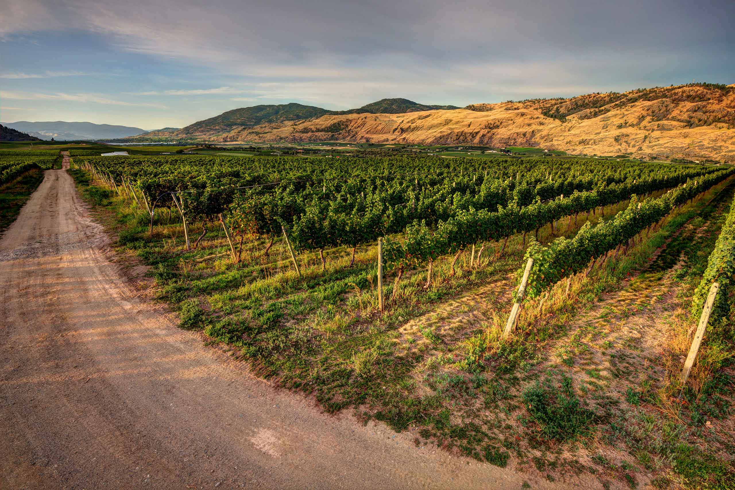 Oliver Osoyoos Wine Country | Digital Passport 2023